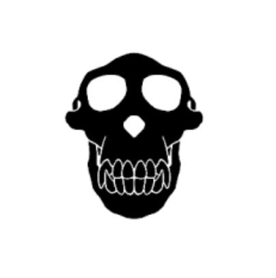 Skull logo als samenwerkingspartner van Easy Verhuislift.